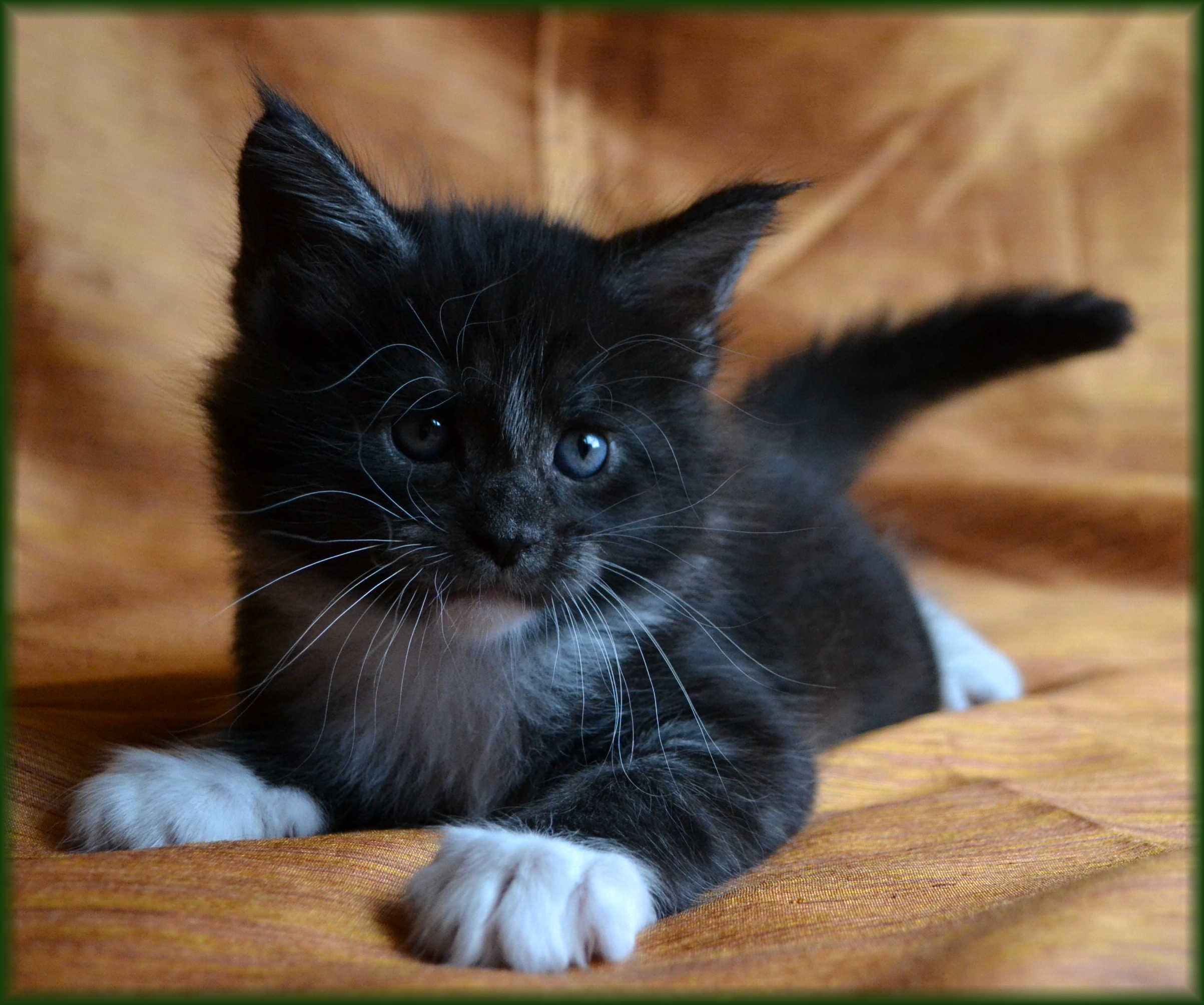 orin-6.-tyden1.jpg