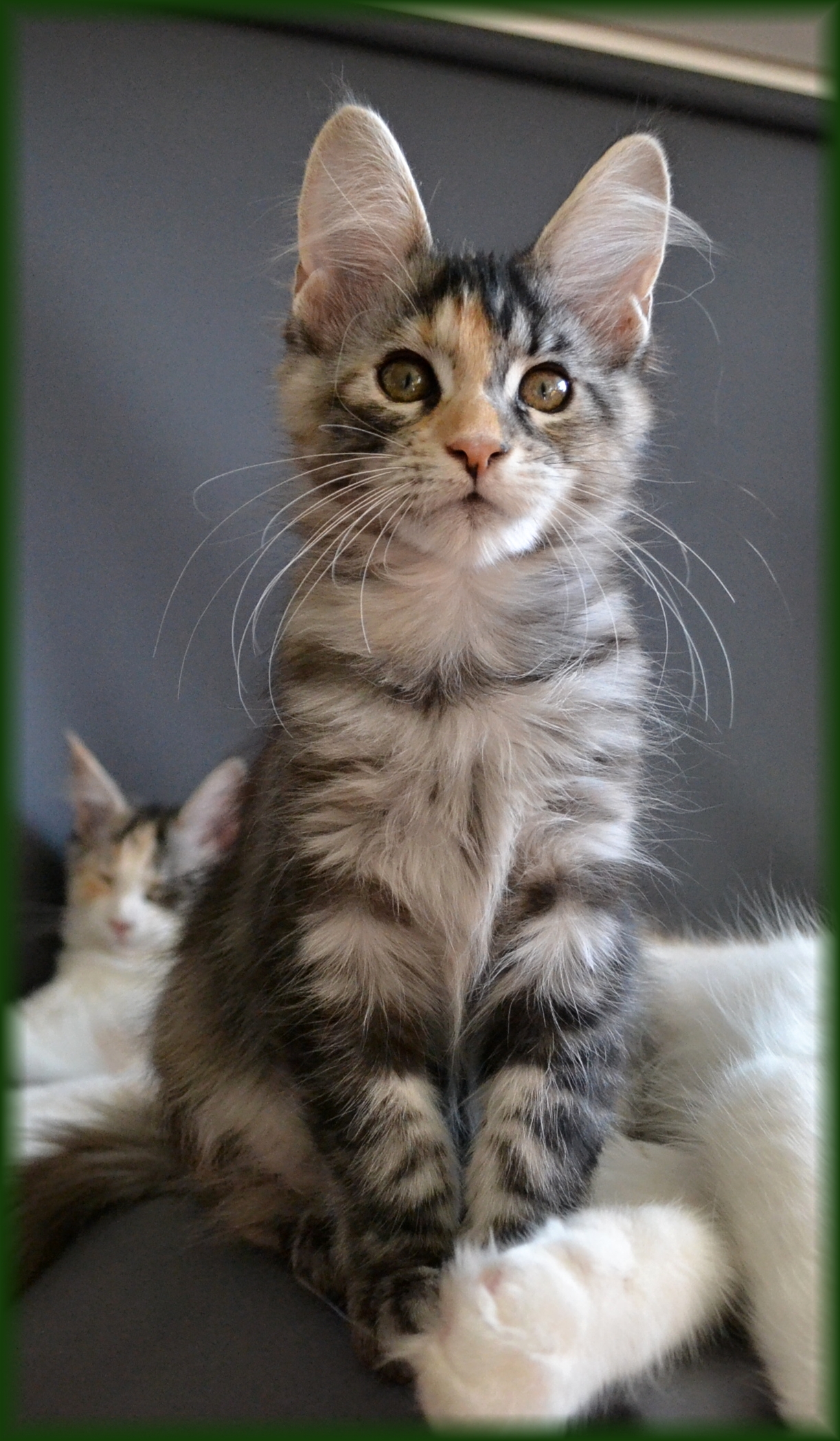 quinny-12.-tyden2.jpg