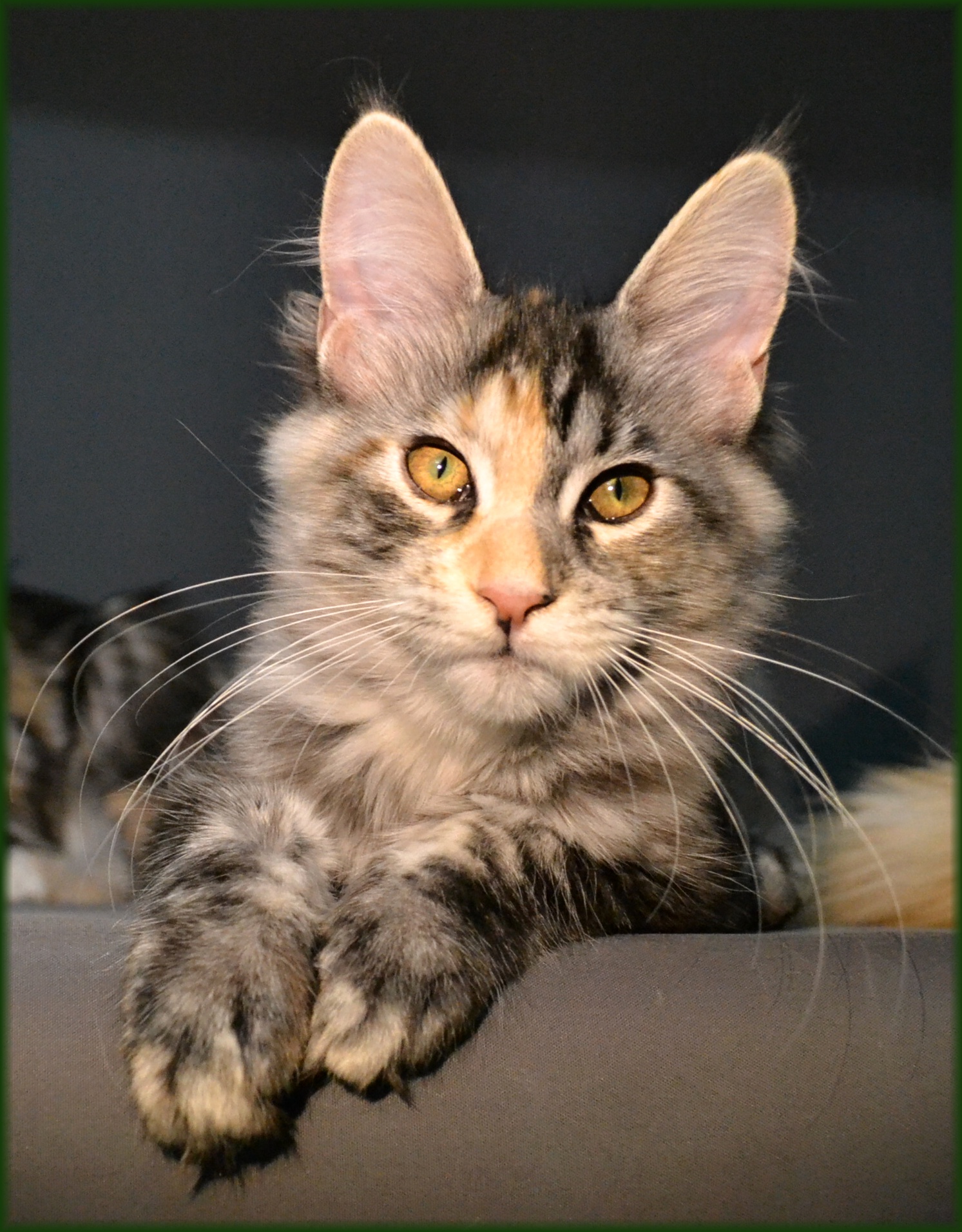 quinny-16.-tyden3.jpg