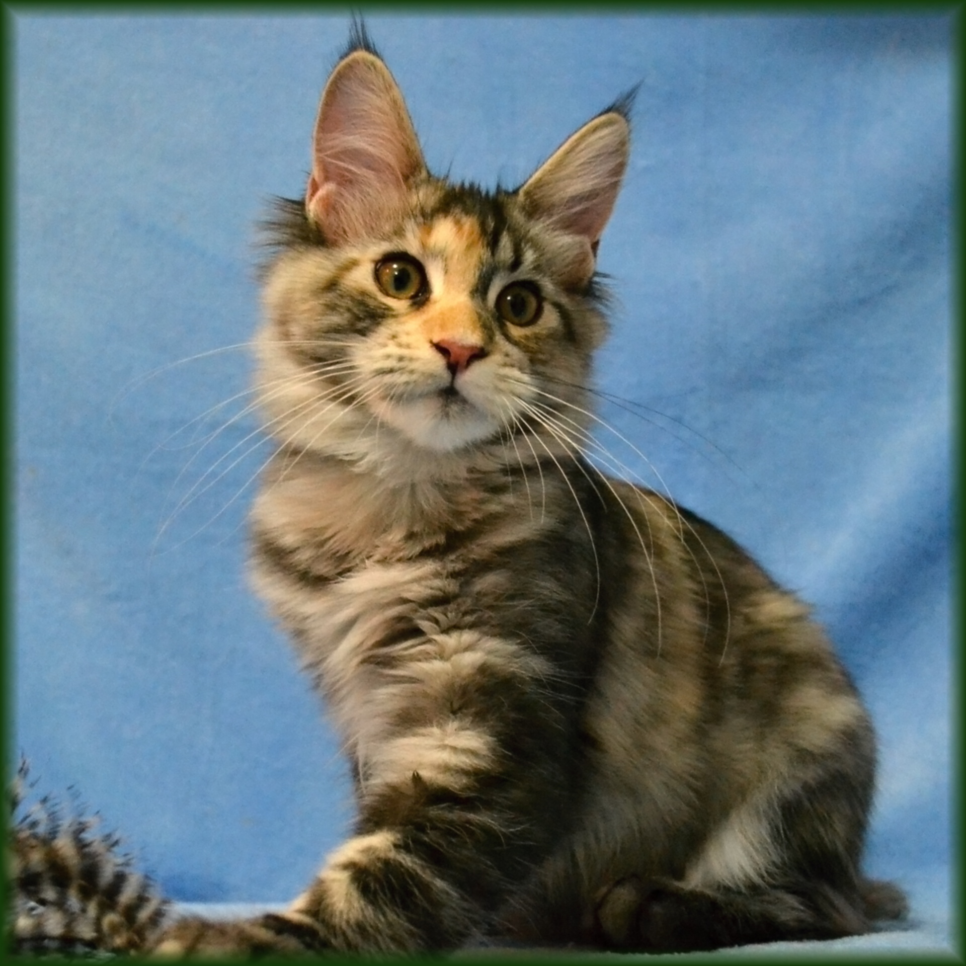 quinny-18.-tyden2.jpg