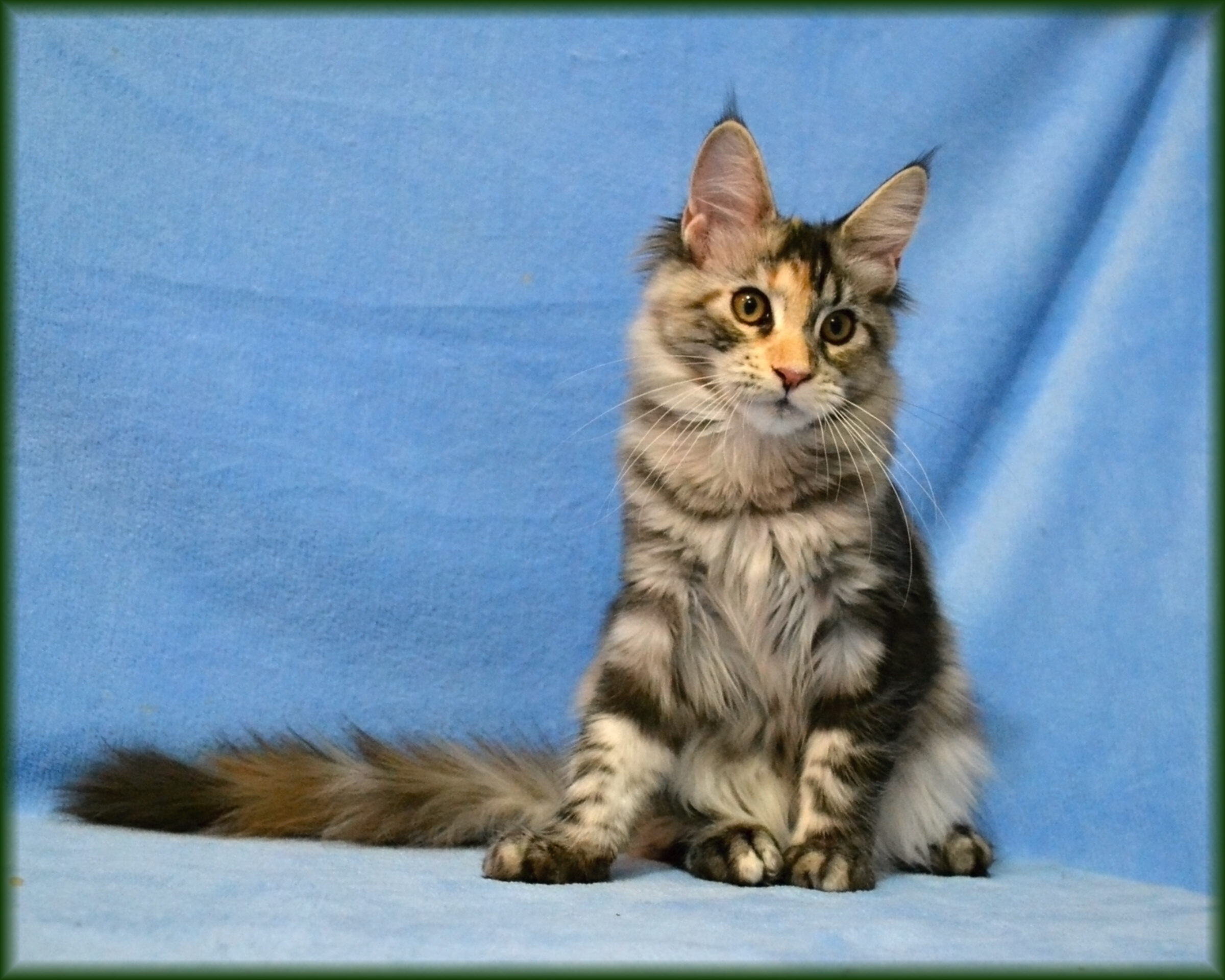 quinny-18.-tyden3.jpg