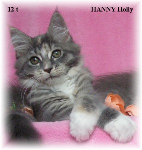 hanny-12t-0.jpg