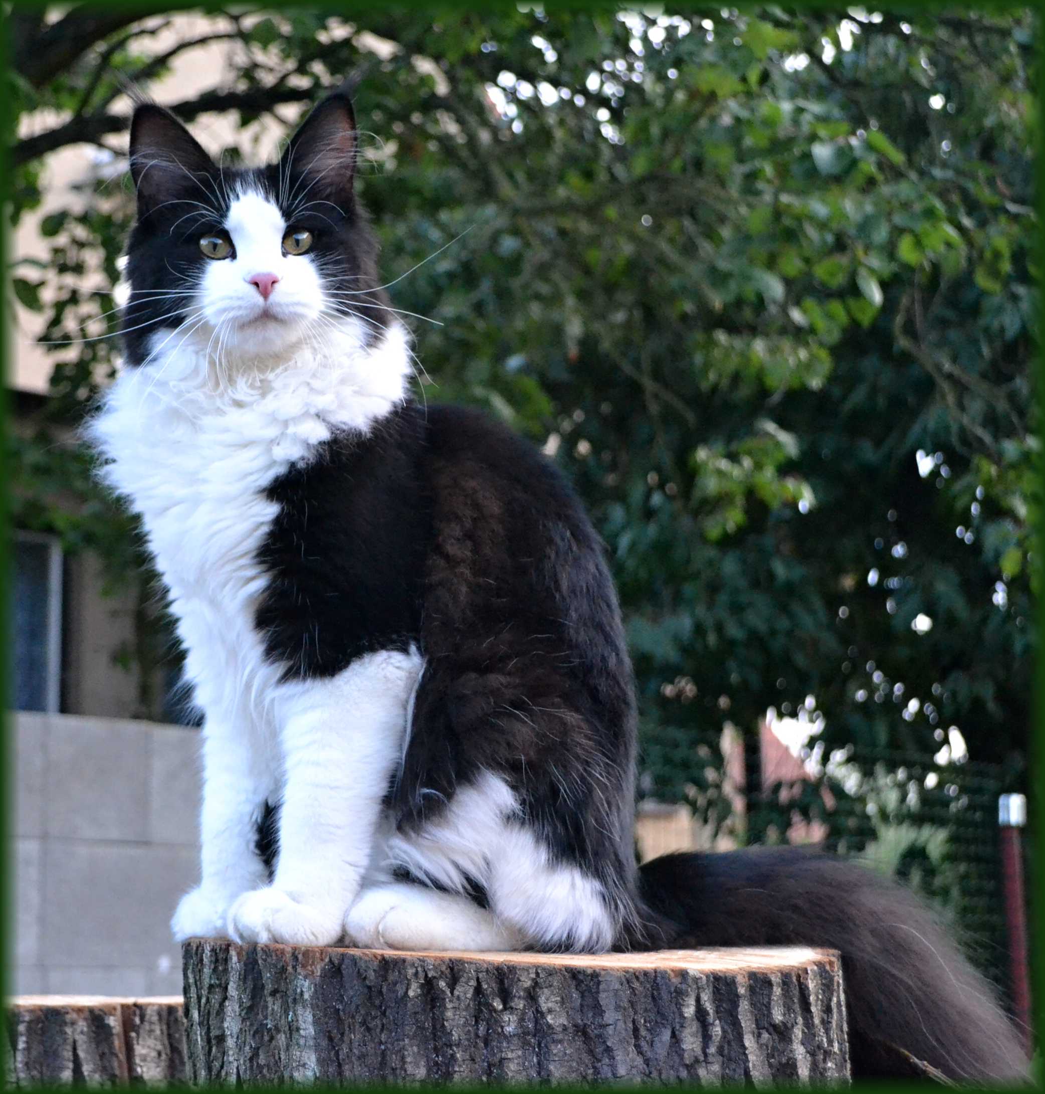 talli-foto2.jpg