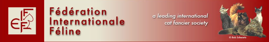 baner-fife.jpg