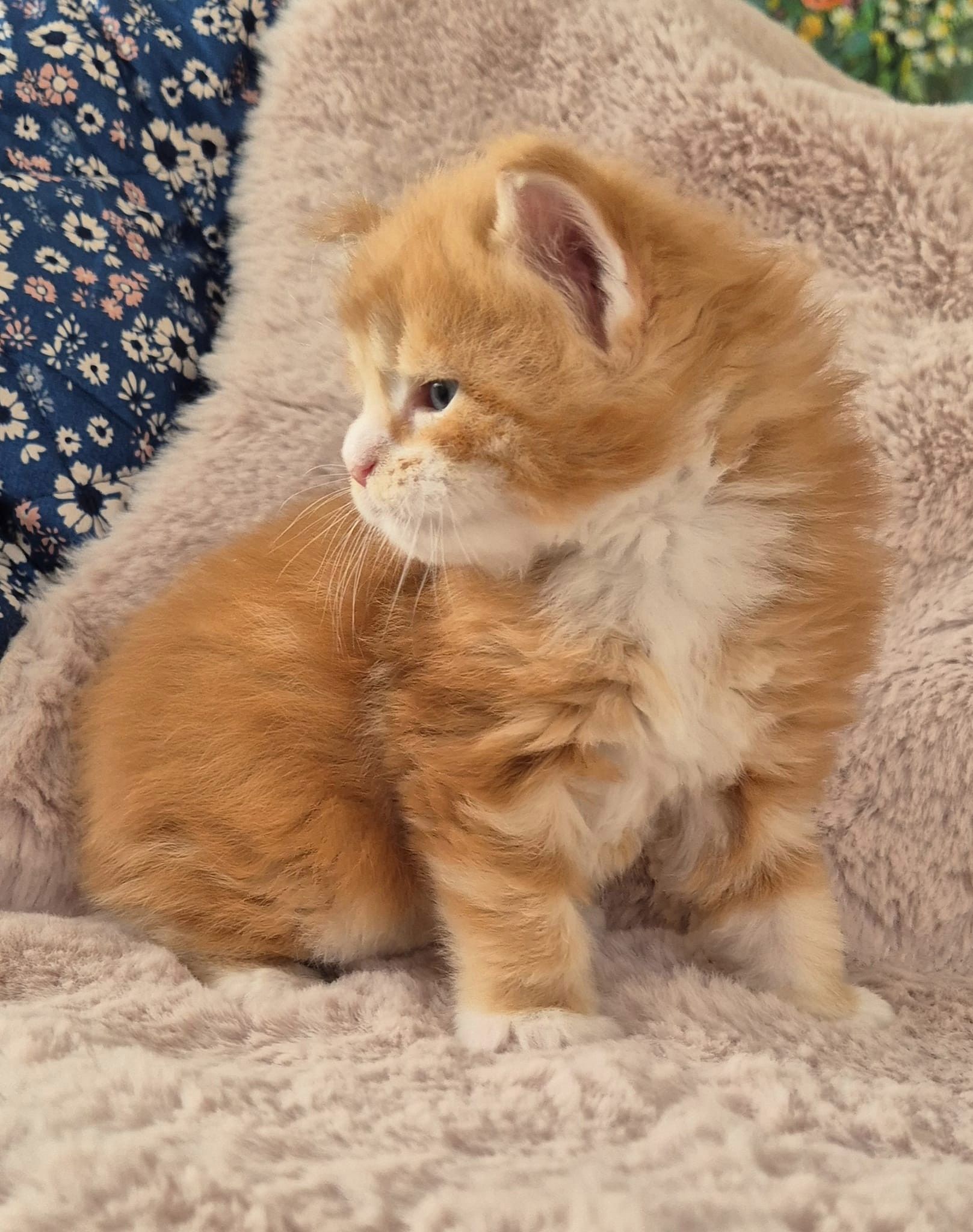 bruce-3.jpg