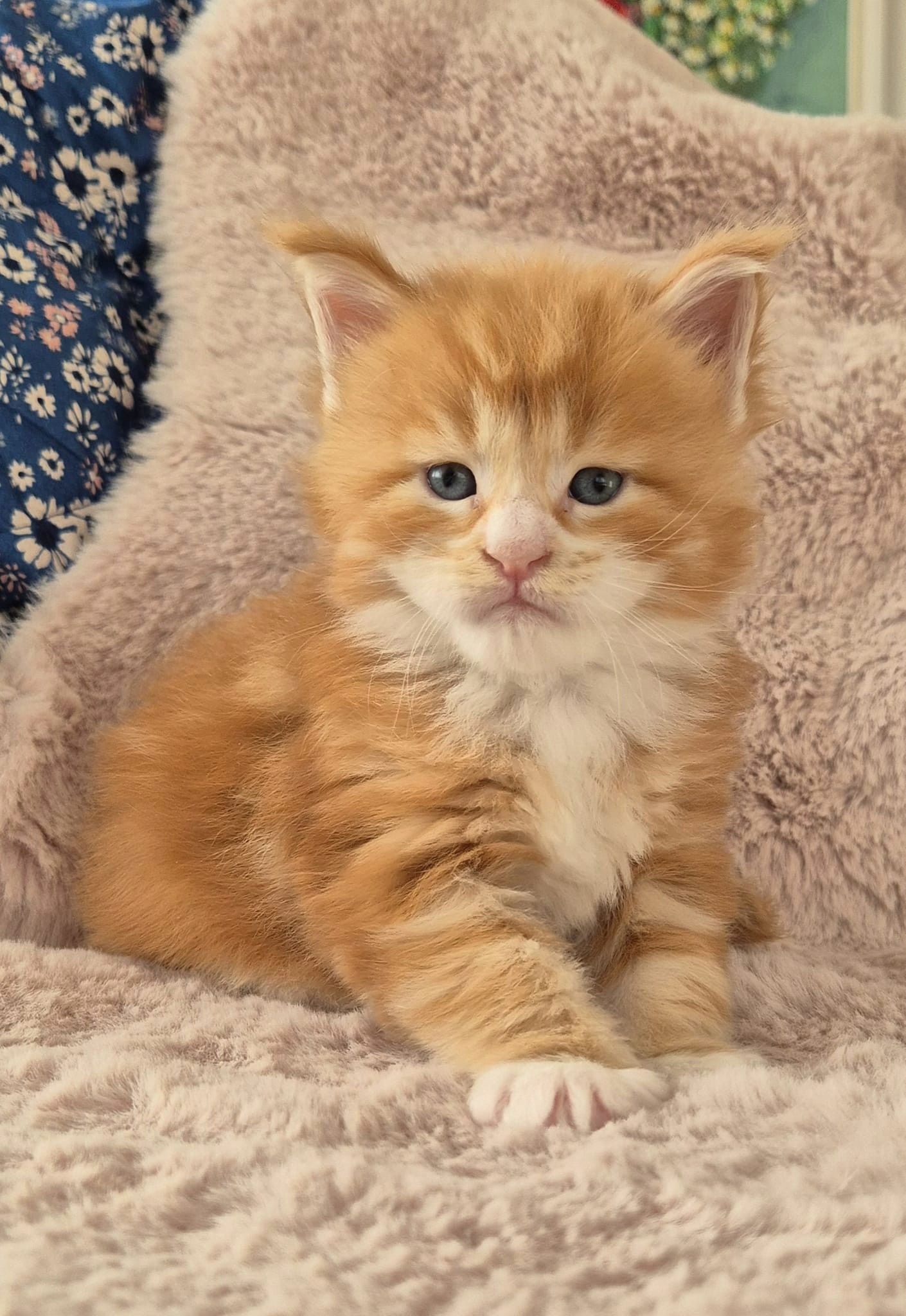 bruce-4.jpg