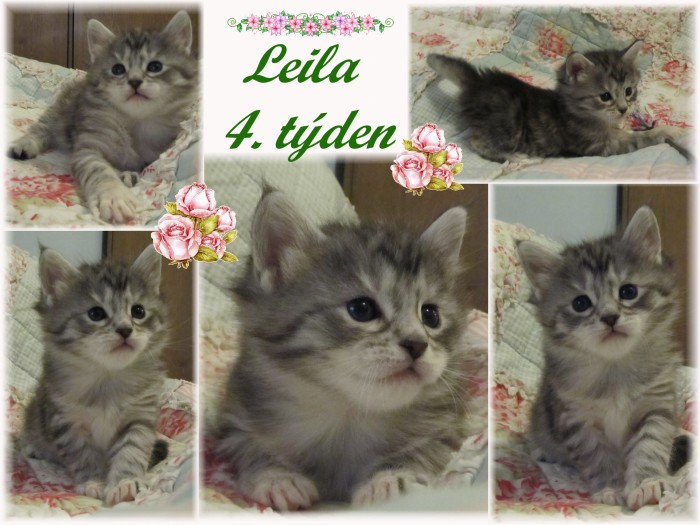 leila-4.-tyden.jpg