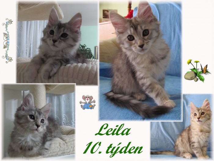 leila-10.-tyden.jpg